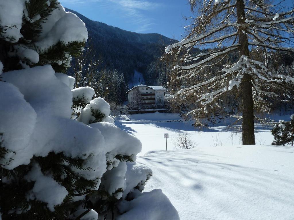 Hotel Pineta Базельга-ді-Піне Екстер'єр фото